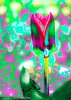 Expressionist Flowers  Tulip #4913